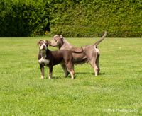 Teefje rode bandje samen met mama