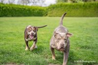 Teefje rode bandje samen met mama