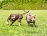 Teefje rode bandje samen met mama